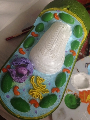 plant cell komórka roślinna 3D Print 136221