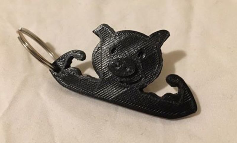 Funny Pig Keychain