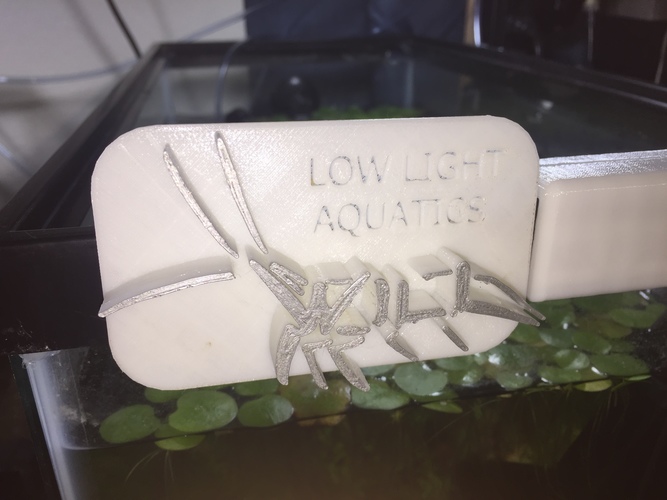 Low Light Aquatics  3D Print 136487
