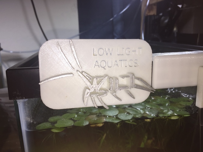 Low Light Aquatics  3D Print 136488