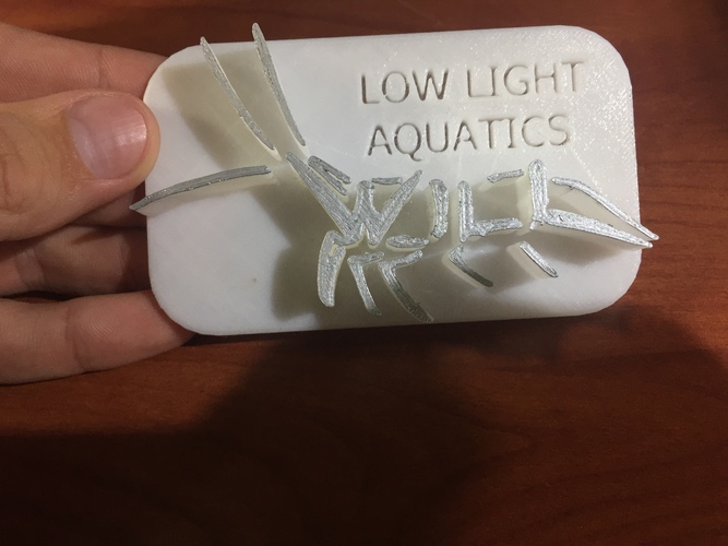 Low Light Aquatics  3D Print 136490