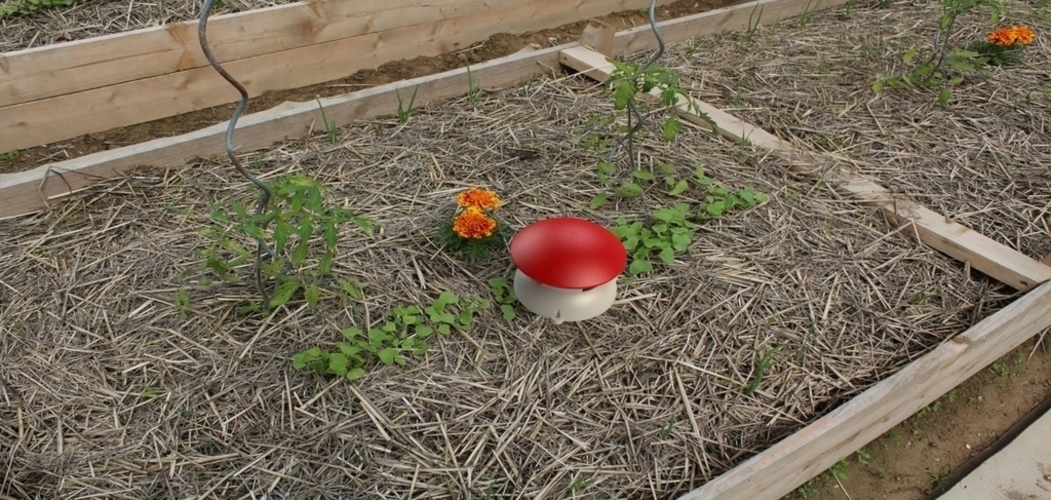 Mushroom slug trap / Piège à  limaces Champignon 3D Print 136884