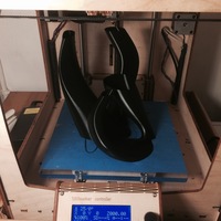 Starling Murmurations 1 - Thumbnail 5