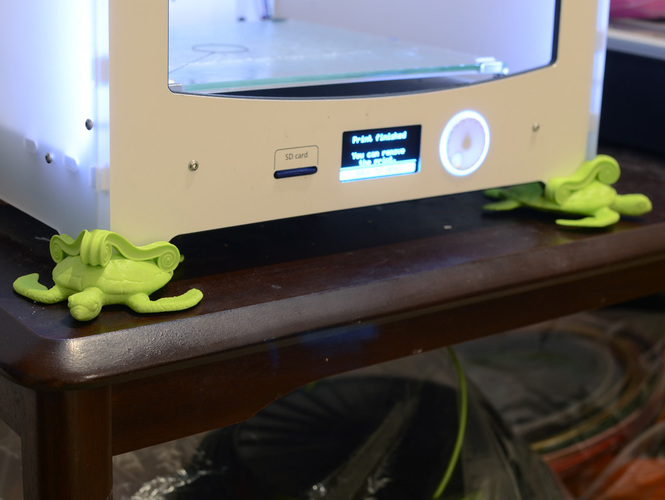 Turtle Feet 3D Print 137536