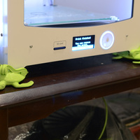 Turtle Feet - Thumbnail 2