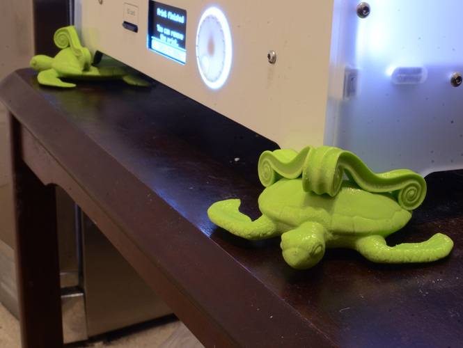 Turtle Feet 3D Print 137538