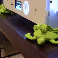 Turtle Feet - Thumbnail 4