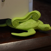 Turtle Feet - Thumbnail 5