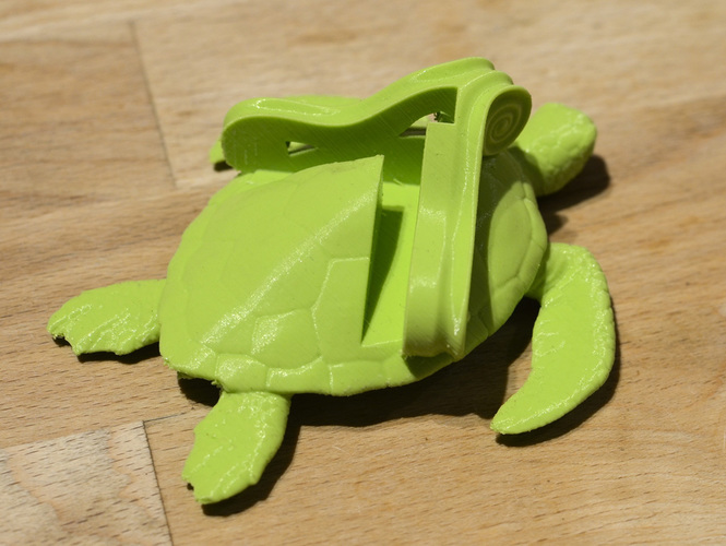 Turtle Feet 3D Print 137540