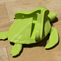 Turtle Feet - Thumbnail 6