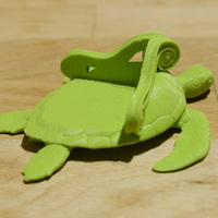 Turtle Feet - Thumbnail 7