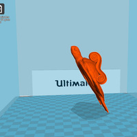 Turtle Feet - Thumbnail 9