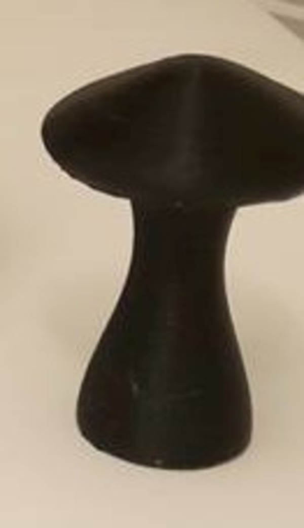Bottle Mushroom 