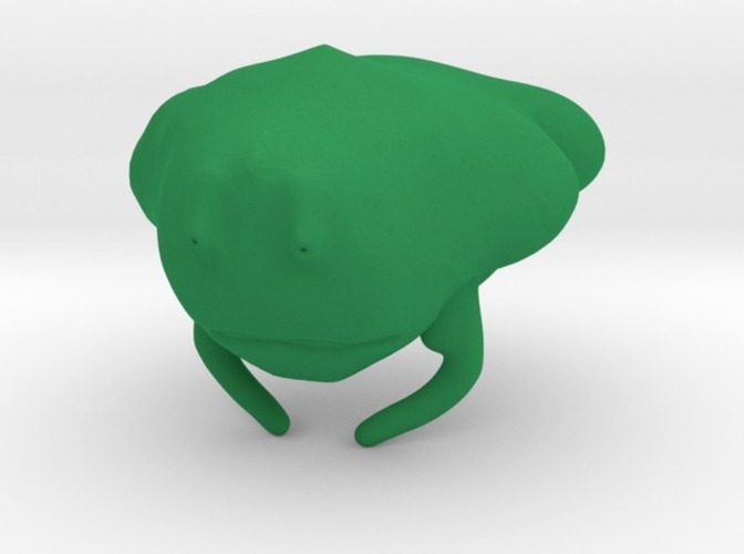 frog 3D Print 13767