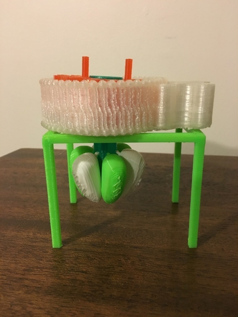 ATP Synthase