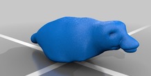 Image 13779