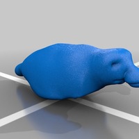 duck - Thumbnail 2
