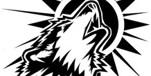 Image 138394