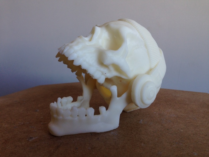 The Skull Headband and Headphones 3D Print 138481