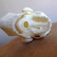 The Skull Headband and Headphones - Thumbnail 5