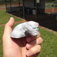The Giant and the goats - Thumbnail 3