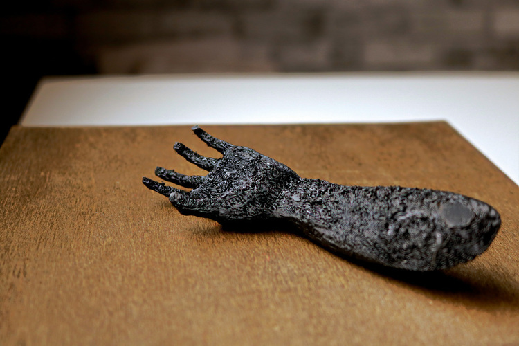 Dont mess with the Z Hand - Doorstop 3D Print 138580