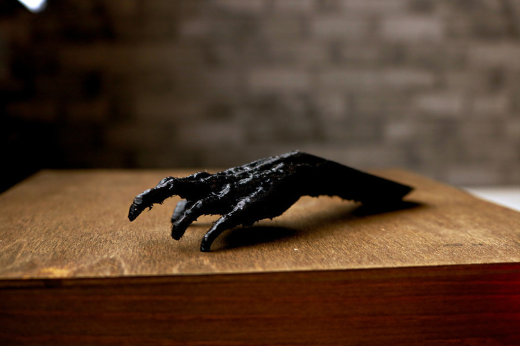 Dont mess with the Z Hand - Doorstop 3D Print 138585