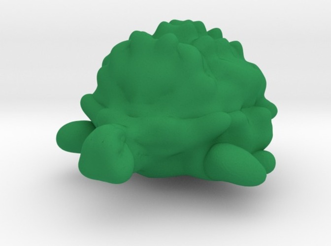 Turtle obj 3D Print 13864