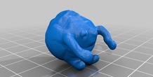 Image 13895