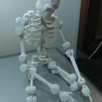robot about the bone collector - Thumbnail 2