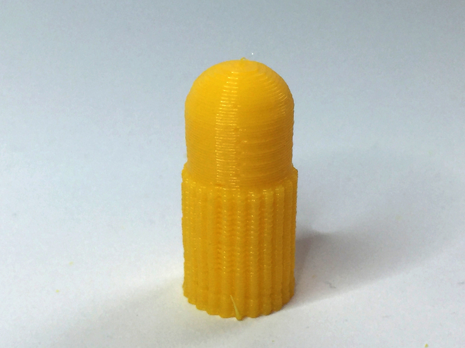Valve Cap for French or Presta Valve with grip 3D Print 139098