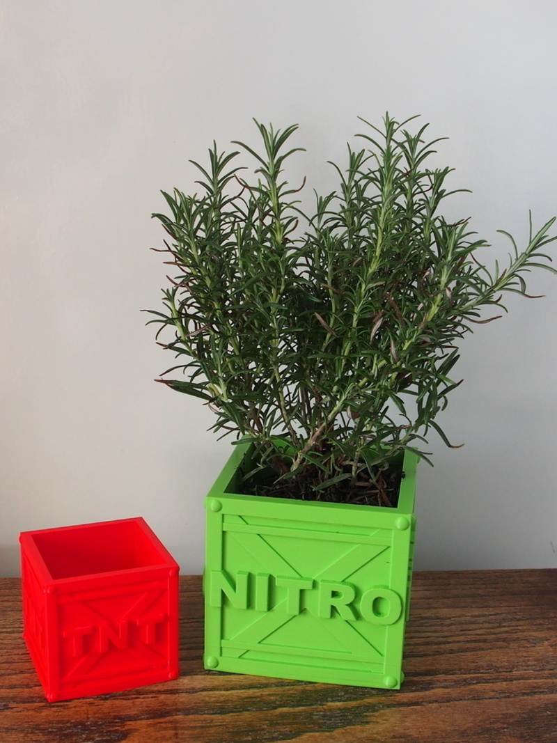 CRASH BANDICOOT PLANT POT CRATES
