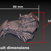 Dragon head - Thumbnail 20