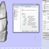 Dragon head - Thumbnail 23