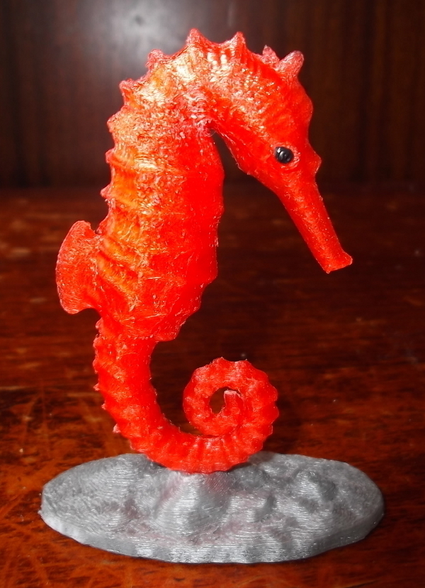 Seahorse