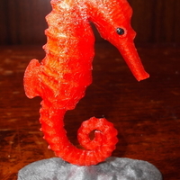 Small Seahorse 3D Printing 140453