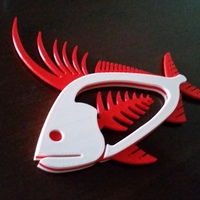 Rooster Fish - Thumbnail 2