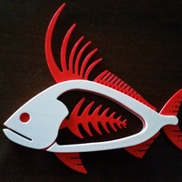 Rooster Fish - Thumbnail 3