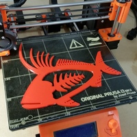 Rooster Fish - Thumbnail 6