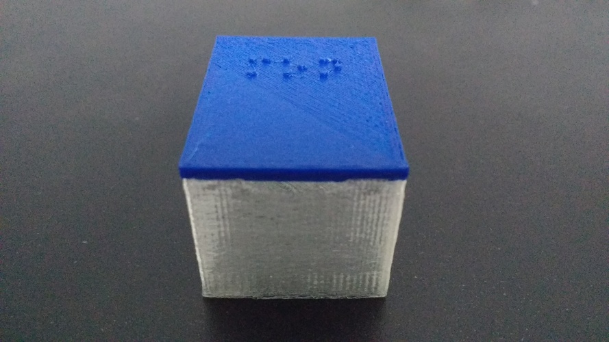 Braille Pill Box 3D Print 140663
