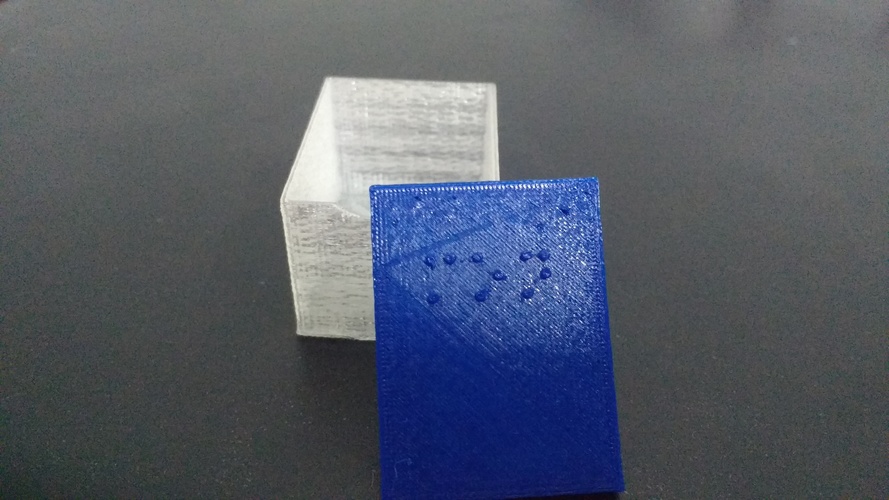 Braille Pill Box 3D Print 140664