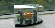 Image 141033