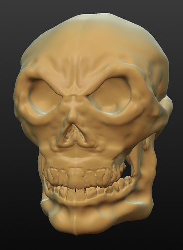 Skull 3D Print 141302
