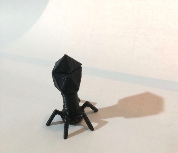Biology model of a Bacteriophage 3D Print 141303