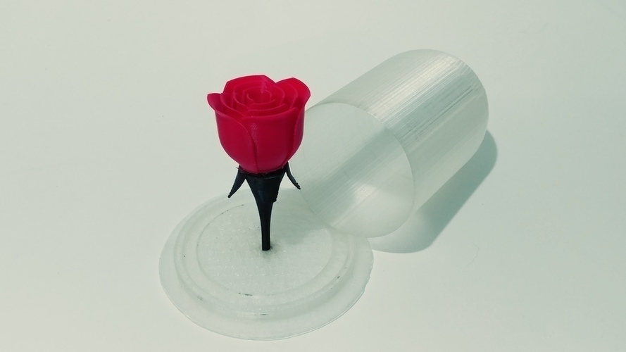 Rose and glass 3D Print 141456