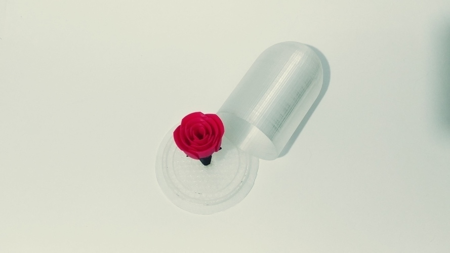Rose and glass 3D Print 141457