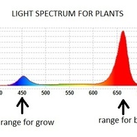 hydroponic lamp - Thumbnail 2