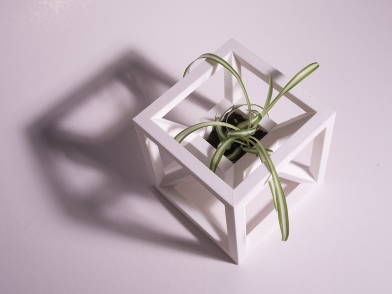 AION Planter