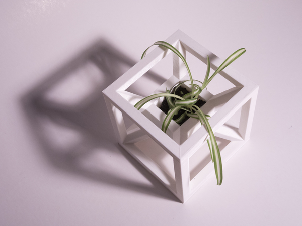 AION Planter
