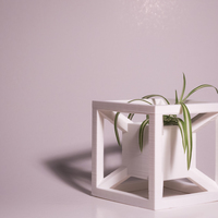 AION Planter - Thumbnail 2